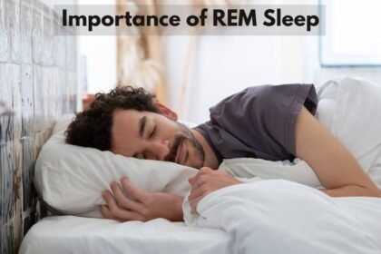 Importance of REM Sleep