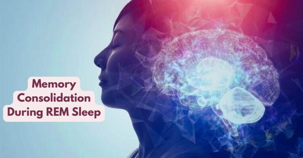 Memory Consolidation During REM Sleep Benefits